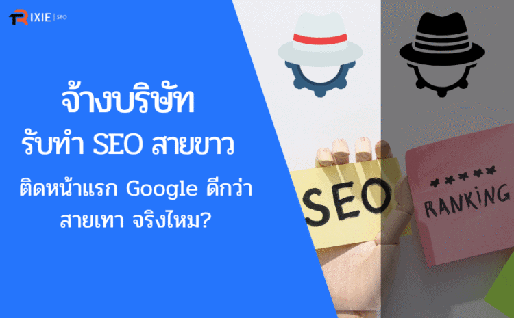 บริษัทรับทำ SEO สายขาว